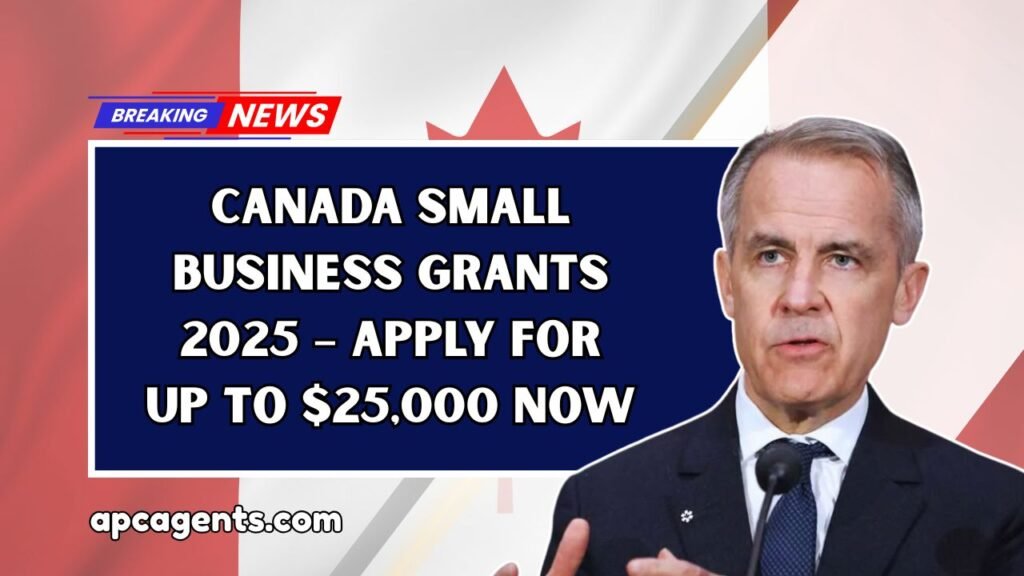Canada Small Business Grants 2025 – Apply For Up To $25,000 Now
