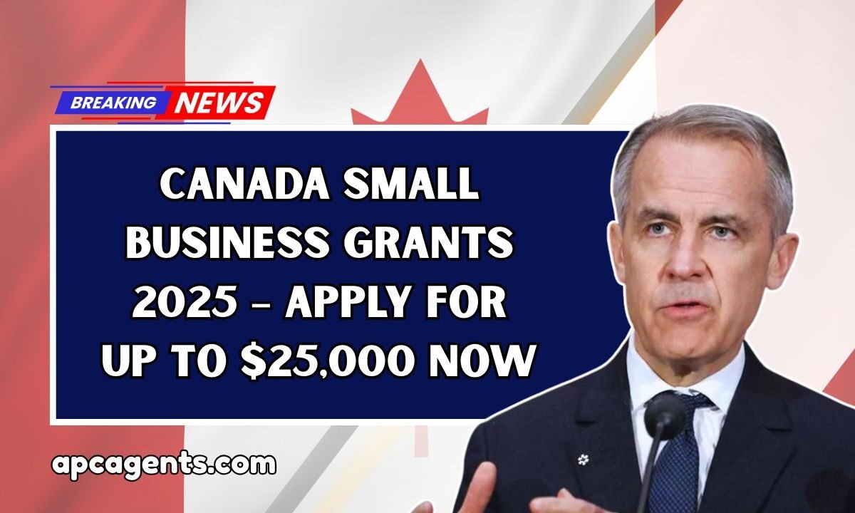 Canada Small Business Grants 2025 – Apply For Up To $25,000 Now