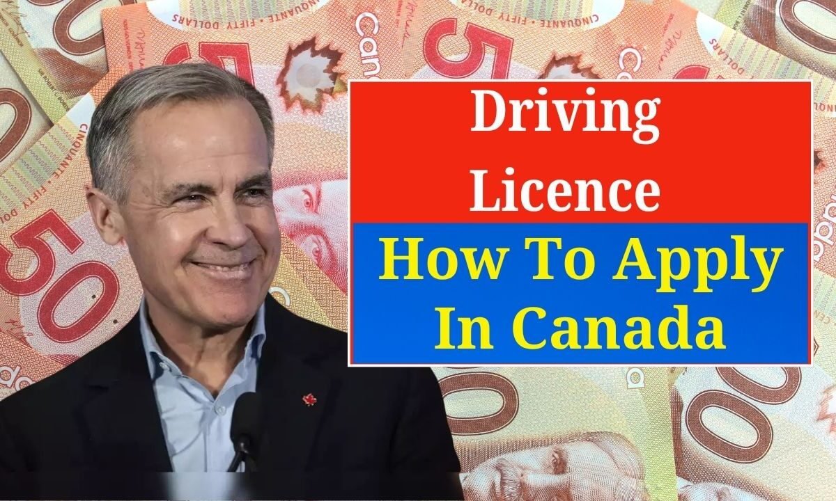 How To Apply For A Driving Licence In Canada — Updated Eligibility, Fees, And Step-By-Step Process